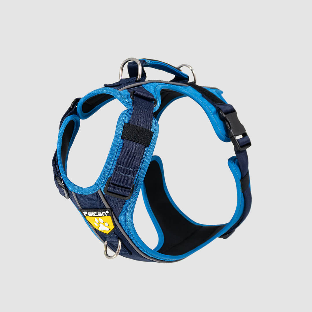 arnés para perros color azul