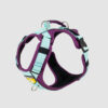 arnés para perro color morado y menta