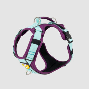 arnés para perro color morado y menta
