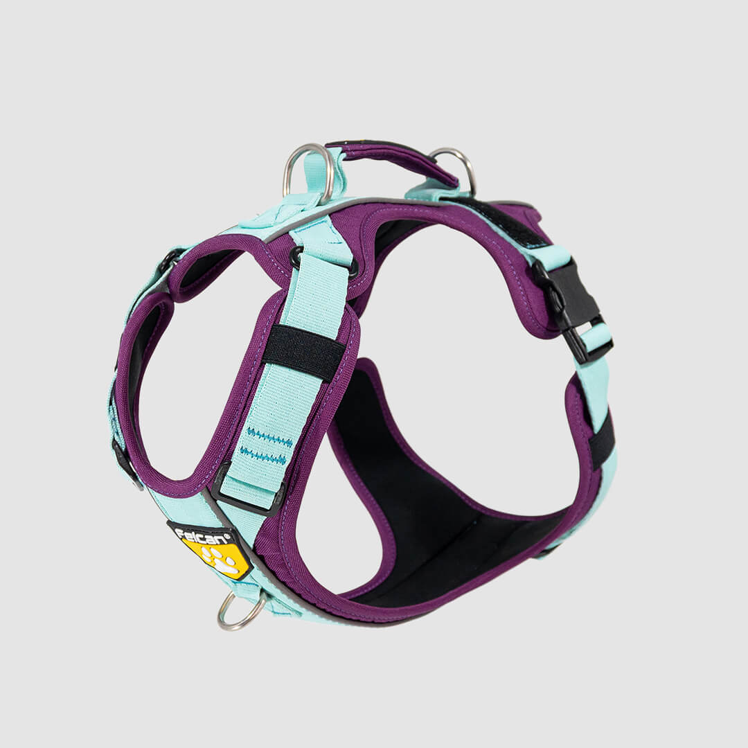 arnés para perro color morado y menta