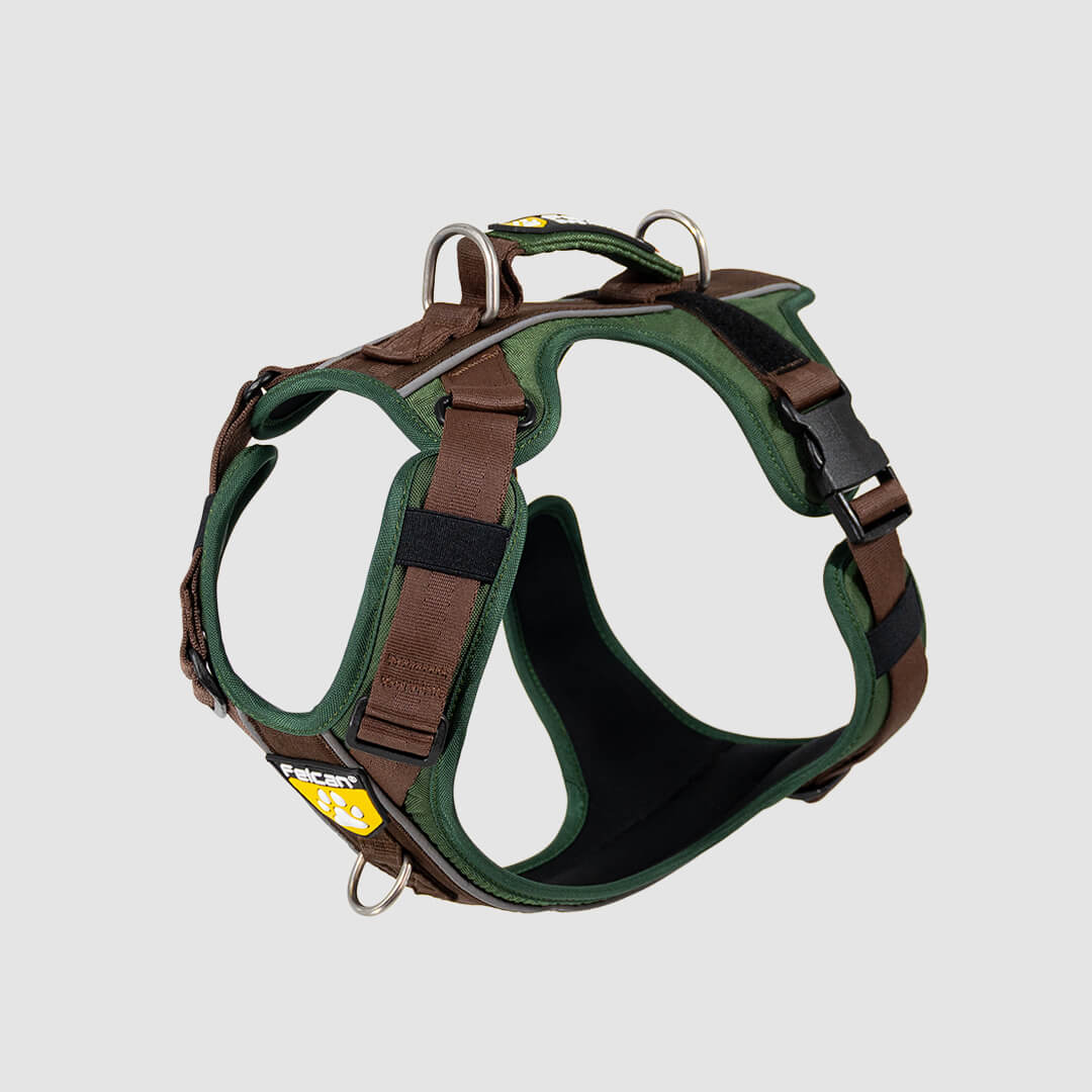 arneé para perro verde + café