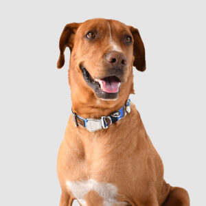 Collar Elemental Rojo Fuego