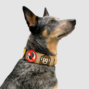 Collar Comando Beige Arena