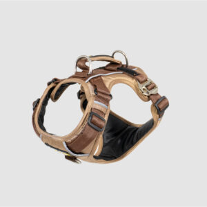 Arnés D-Mountain Arena