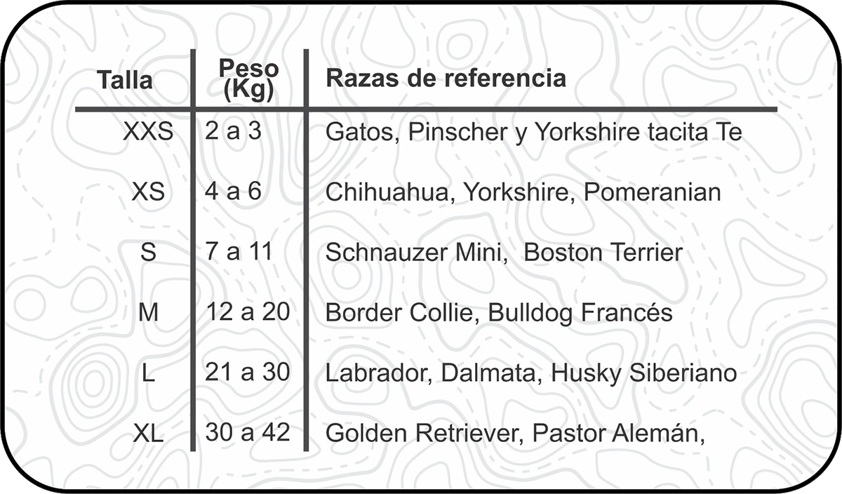 Cocker Spaniel: Guía Completa de la Raza 2025
