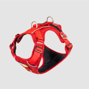 Arnés D-Mountain Rojo escarlata