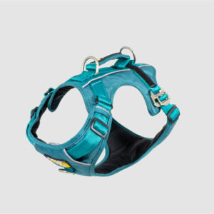 Arnés D-Mountain Verde Jade