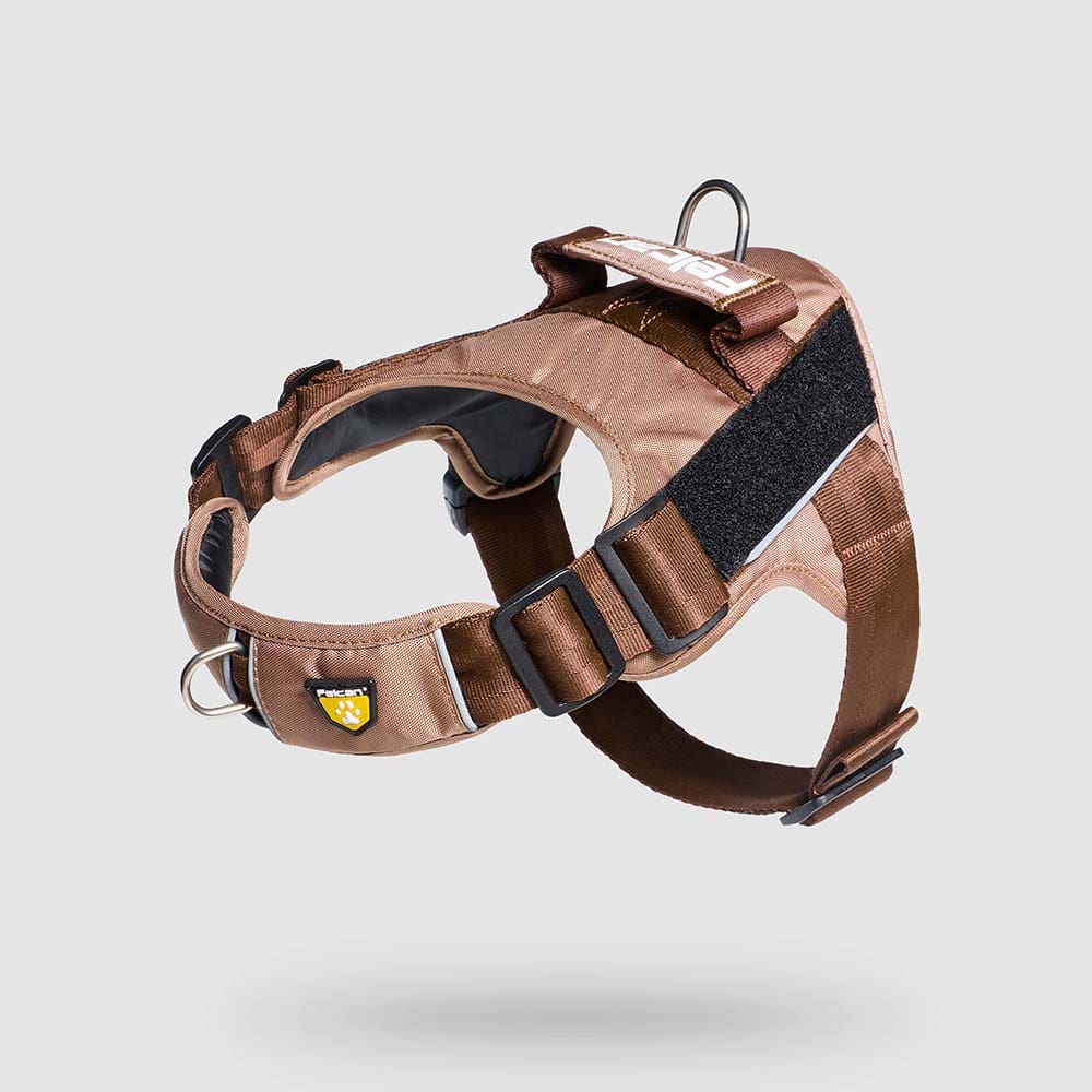 pecheras-para-perros