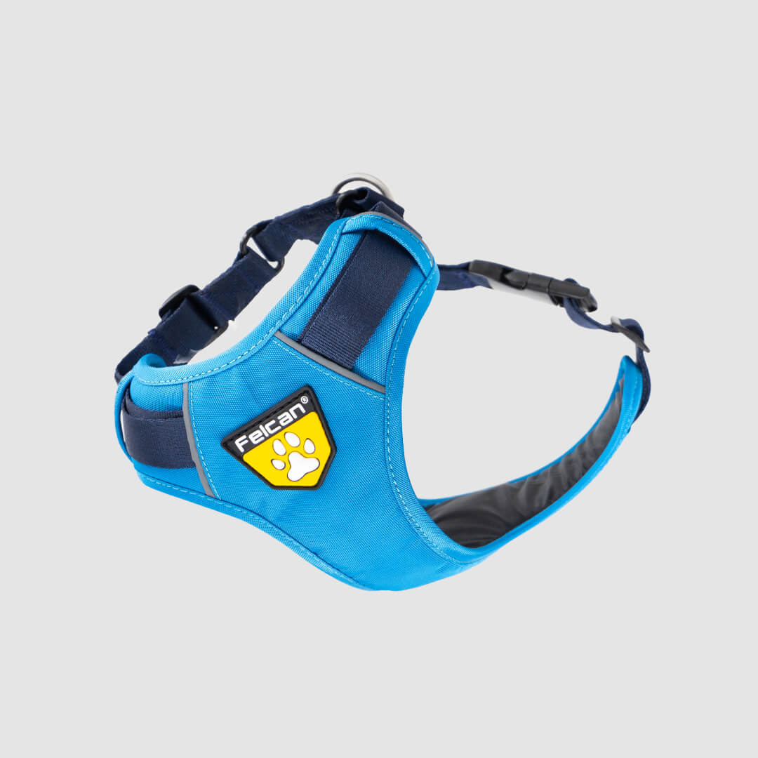 arnes-4-estaciones-felcan-azul-celeste-2