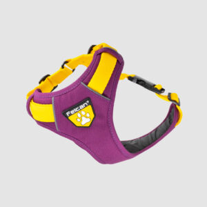 arnes-4-estaciones-felcan-barney-amarillo-2