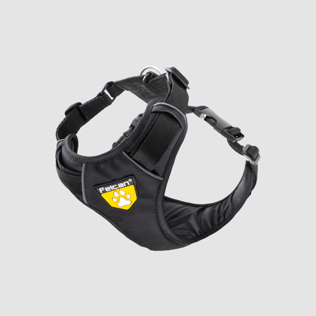 arnes-4-estaciones-felcan-negro-2