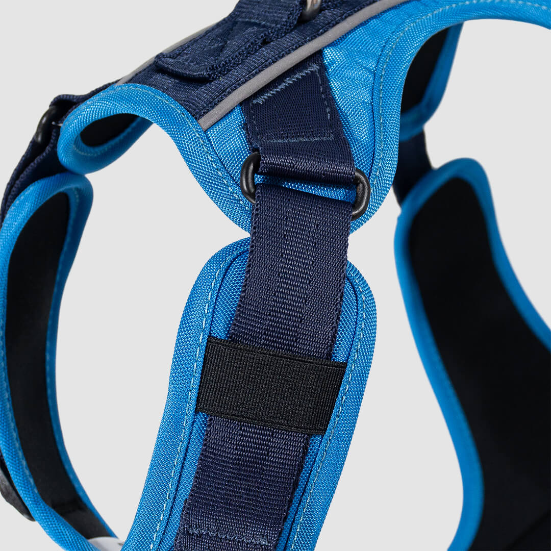 arnés para perros color azul