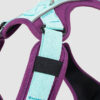 arnés para perro morado y menta