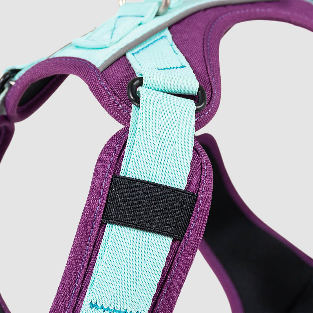 arnés para perro morado y menta