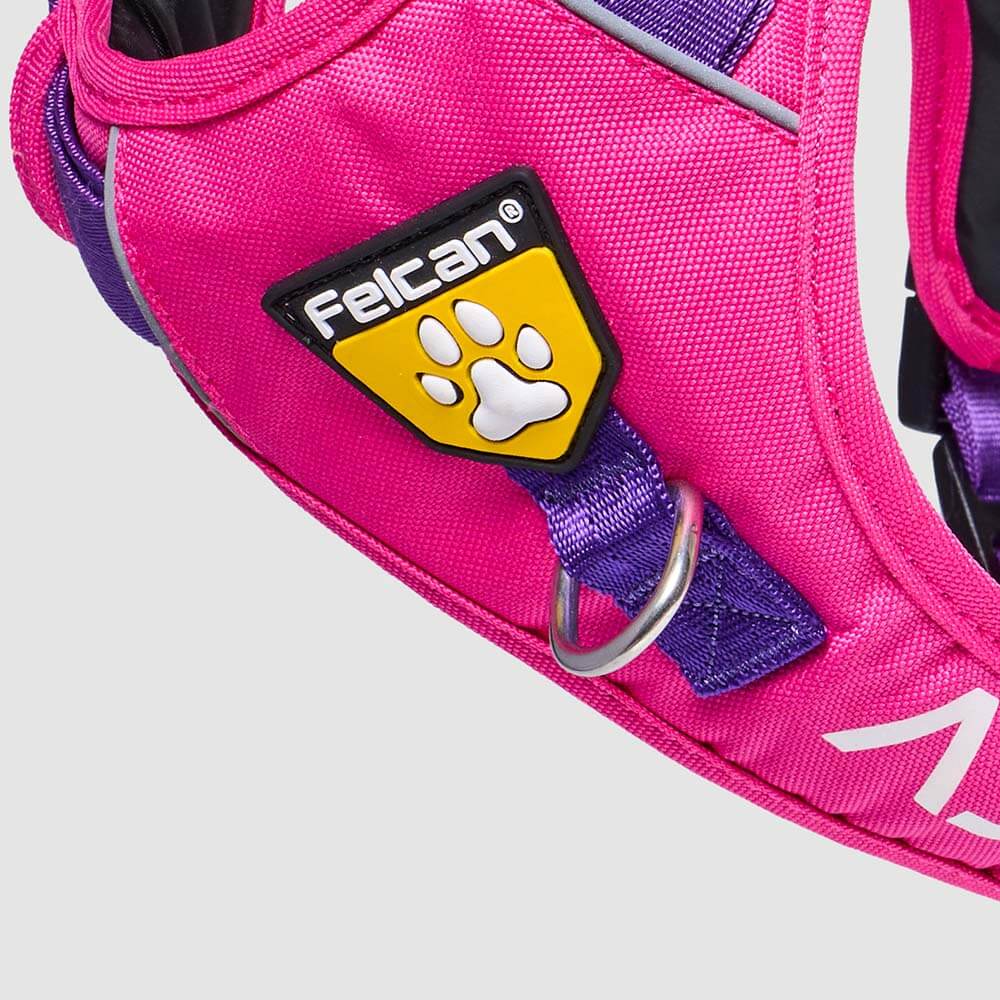 arnes-d-mountain-fucsia-morado-enchape3