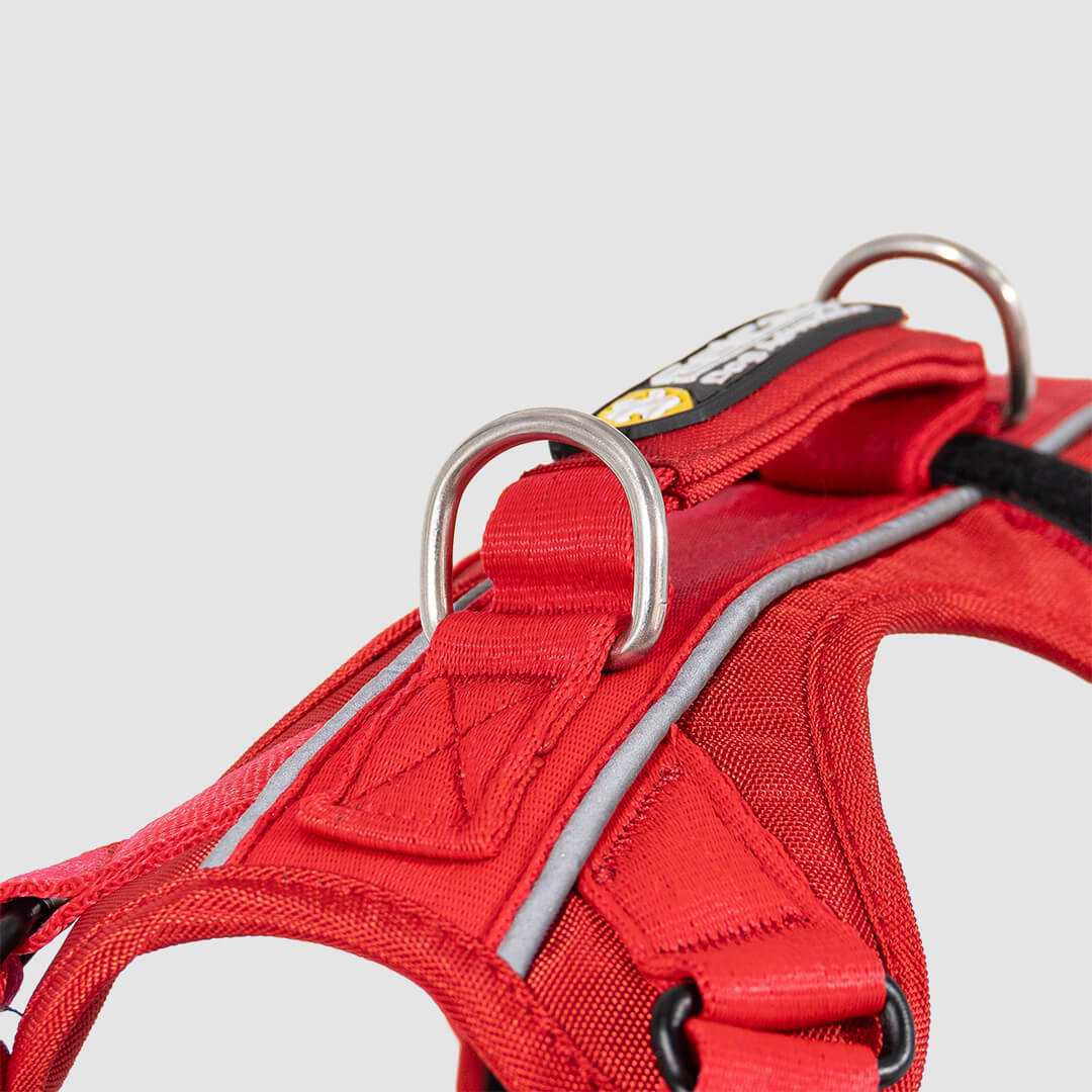 arnés para perro rojo