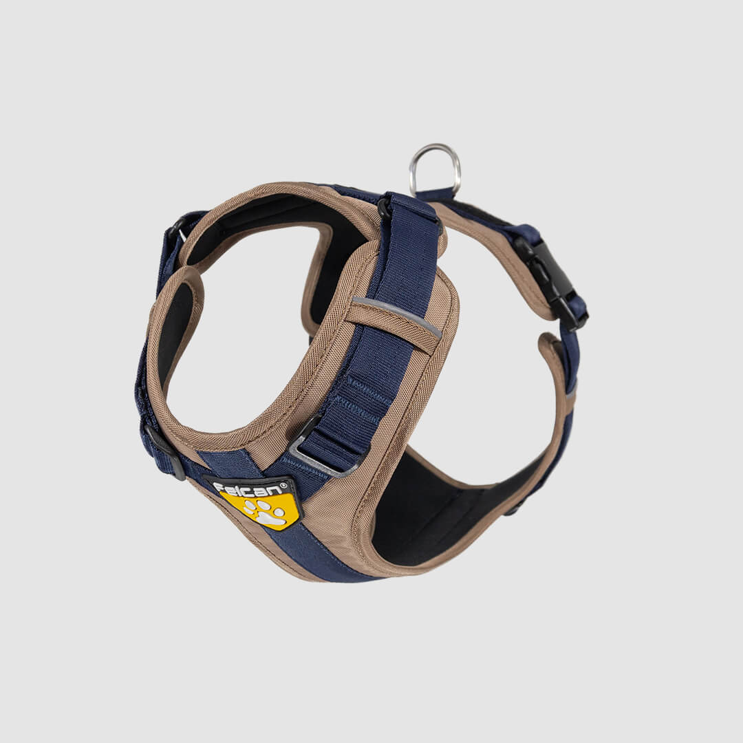 arnes-d-urban-arena-azul