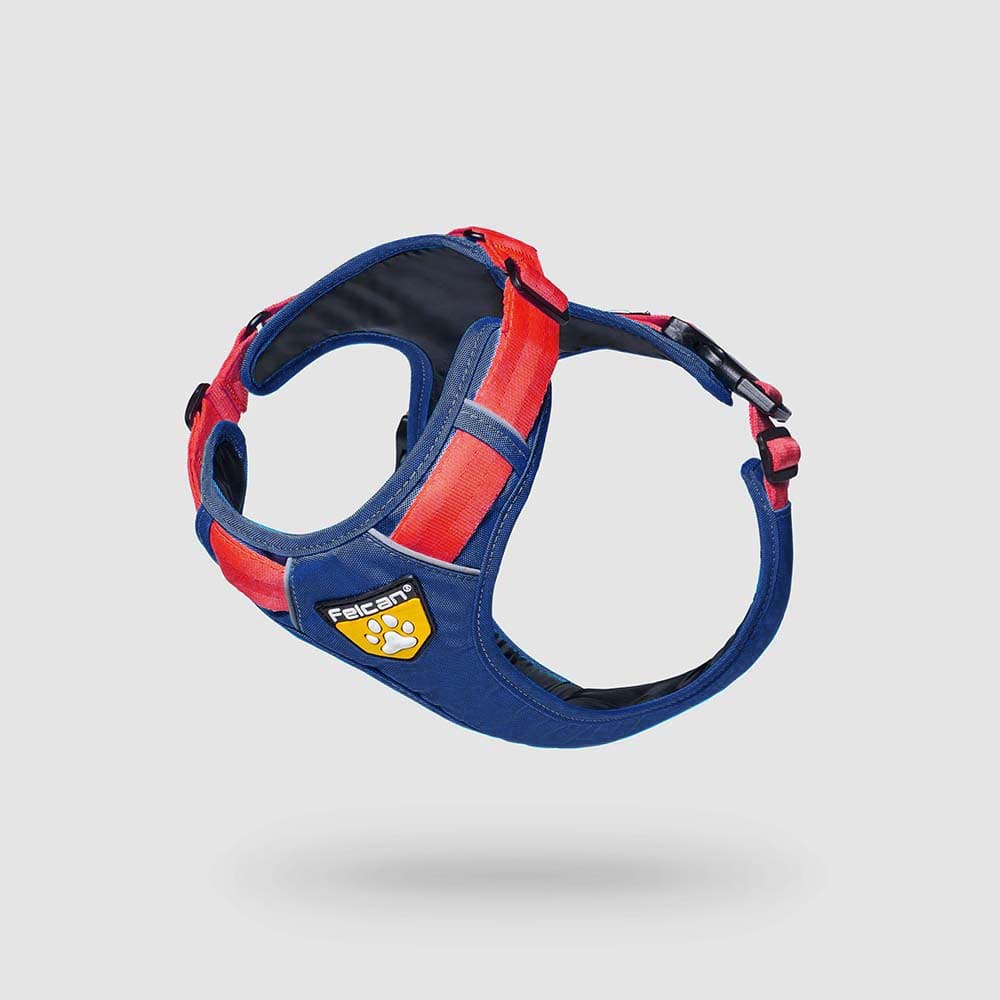 arnes-d-urban-azul-cobalto-rojo