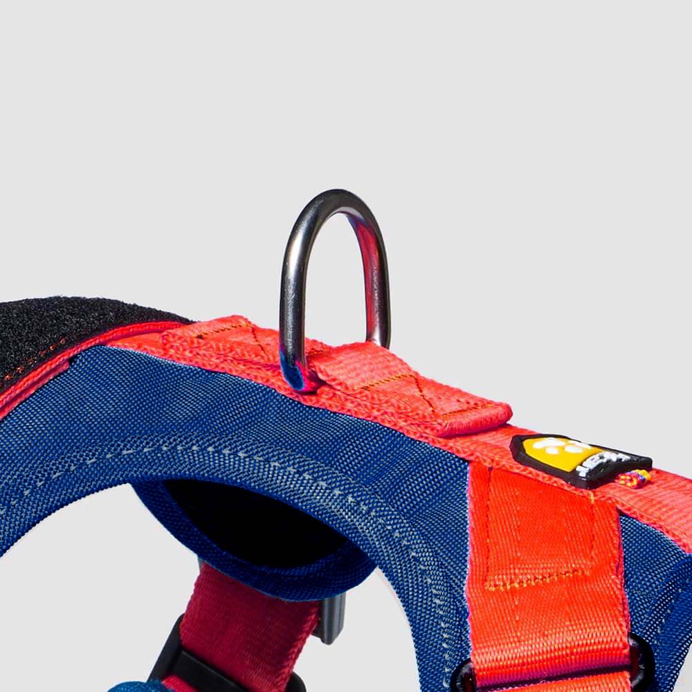 arnes-d-urban-azul-cobalto-rojo2