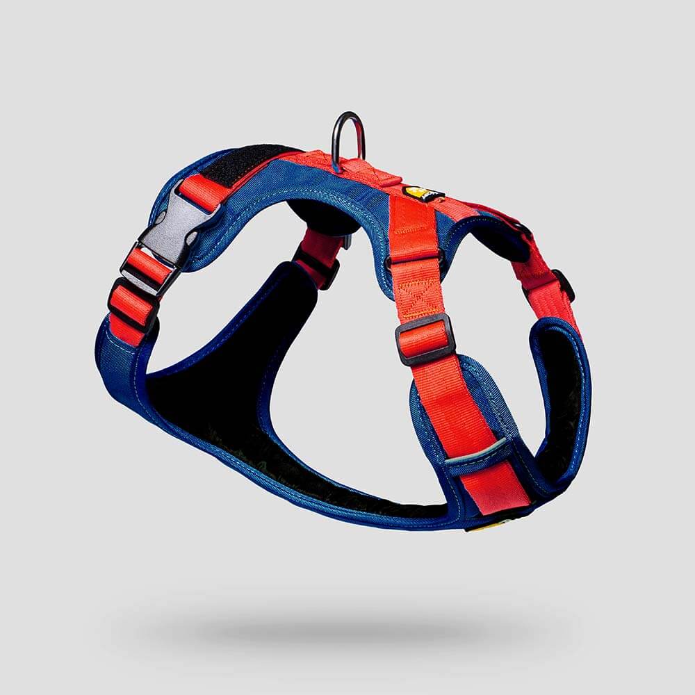 arnes-d-urban-azul-cobalto-rojo4