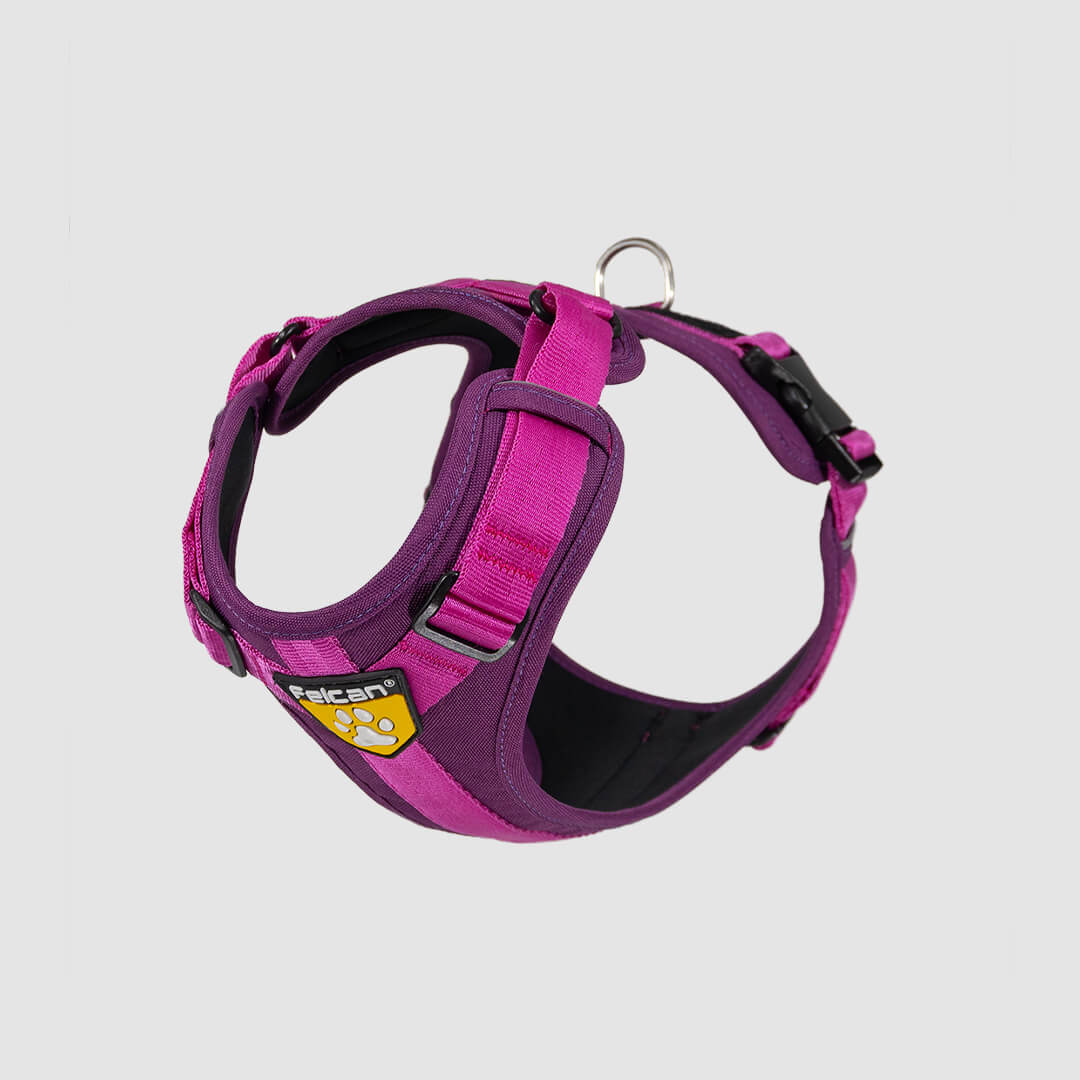 arnés para perro color barney fucsia
