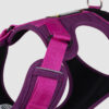 arnés para perro color barney fucsia