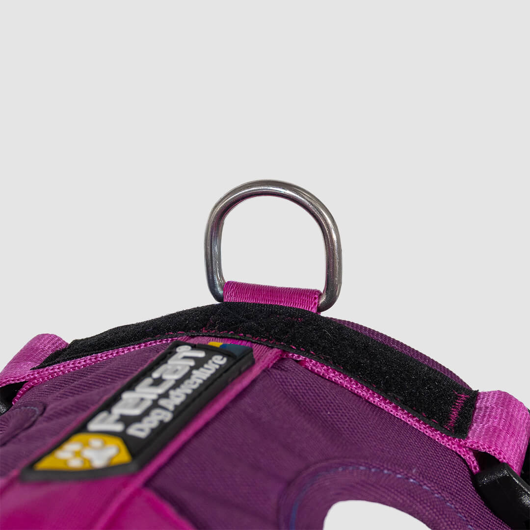 arnés para perro color barney fucsia