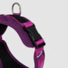 arnés para perro color barney fucsia