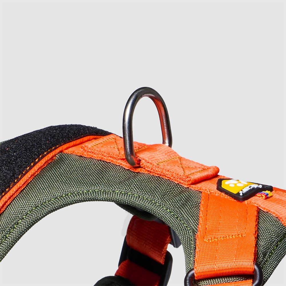 arnes-d-urban-enchape1