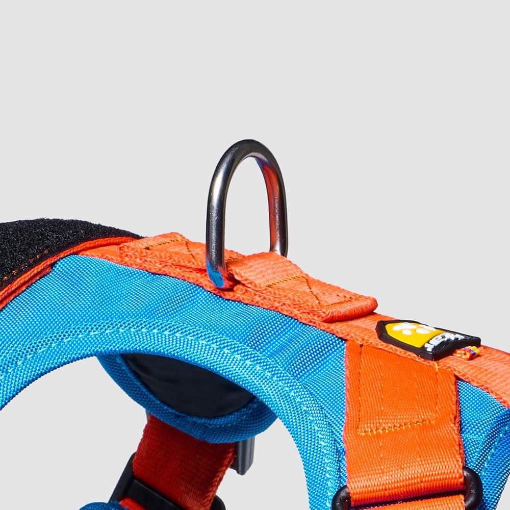 arnes-d-urban-enchape2