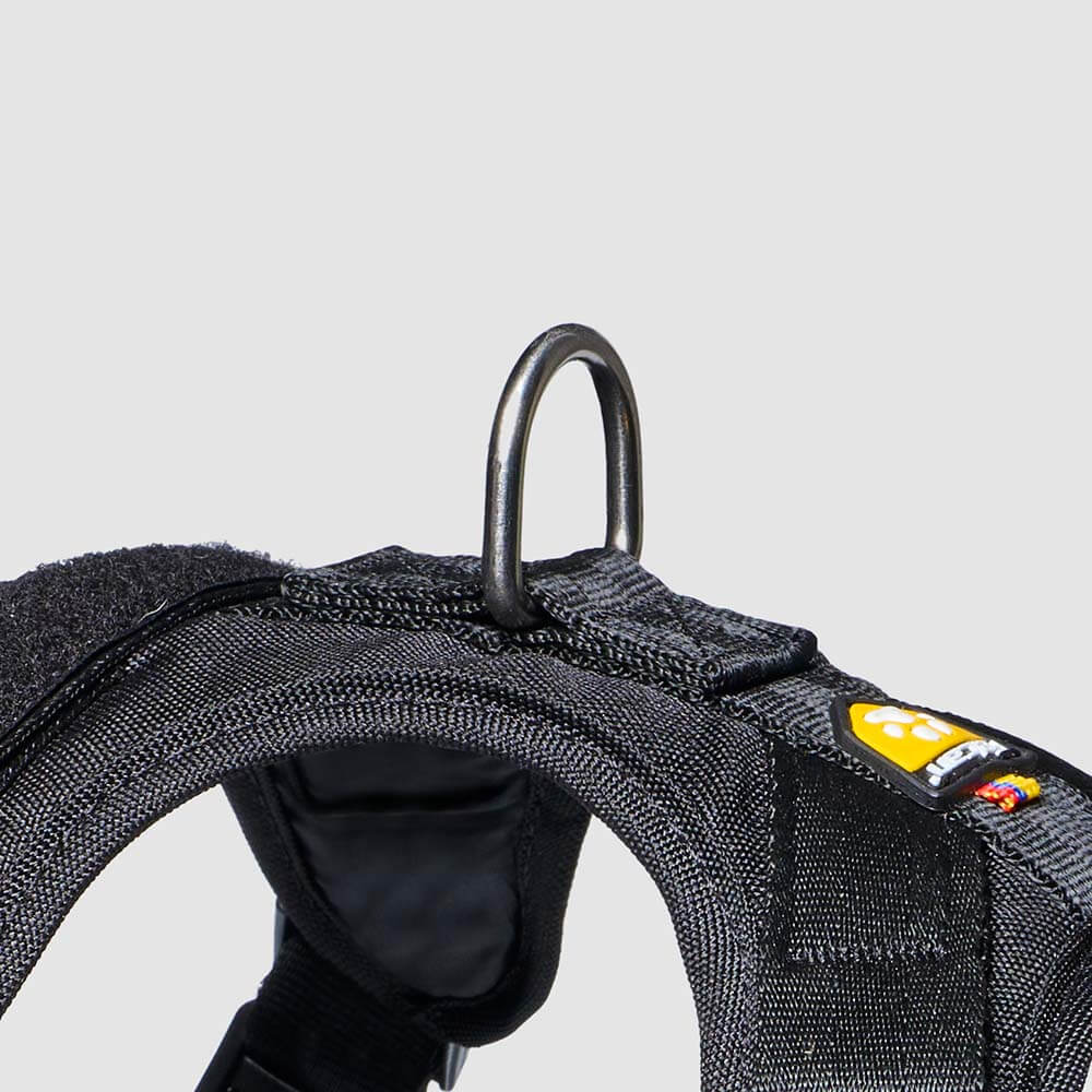 arnes-d-urban-enchape-negro