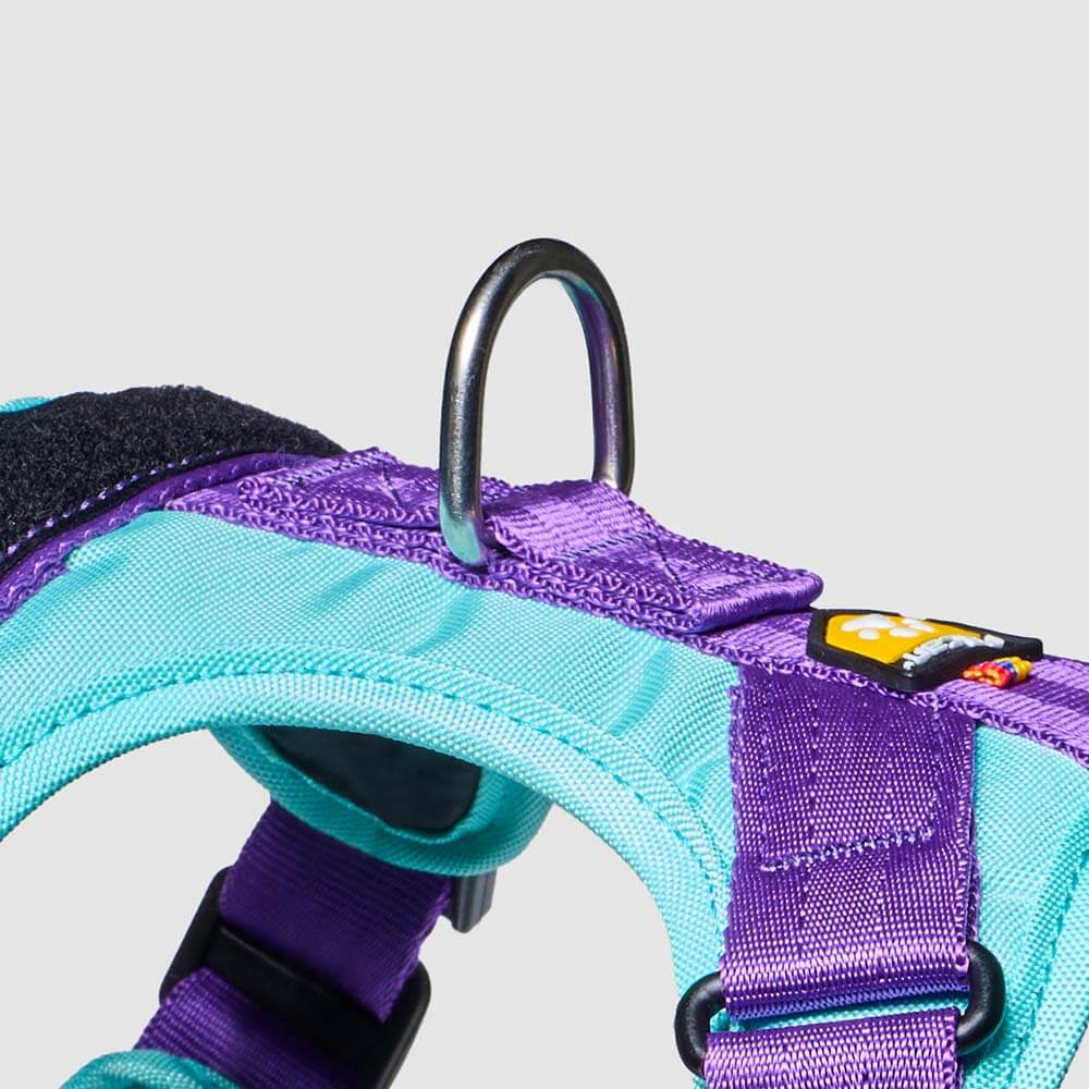 arnes-d-urban-enchape-menta-morado