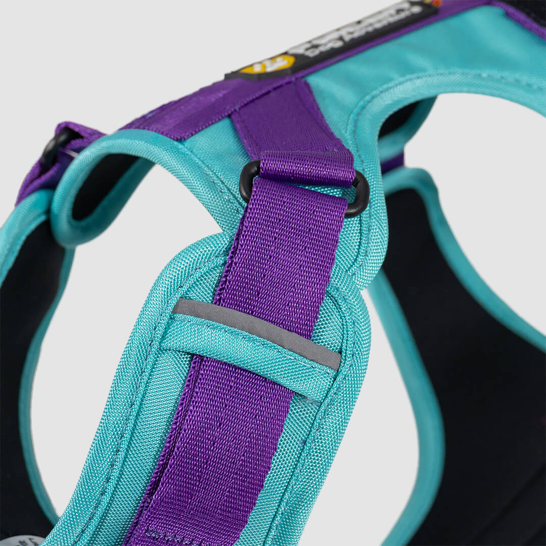 arnés para perro color menta y morado
