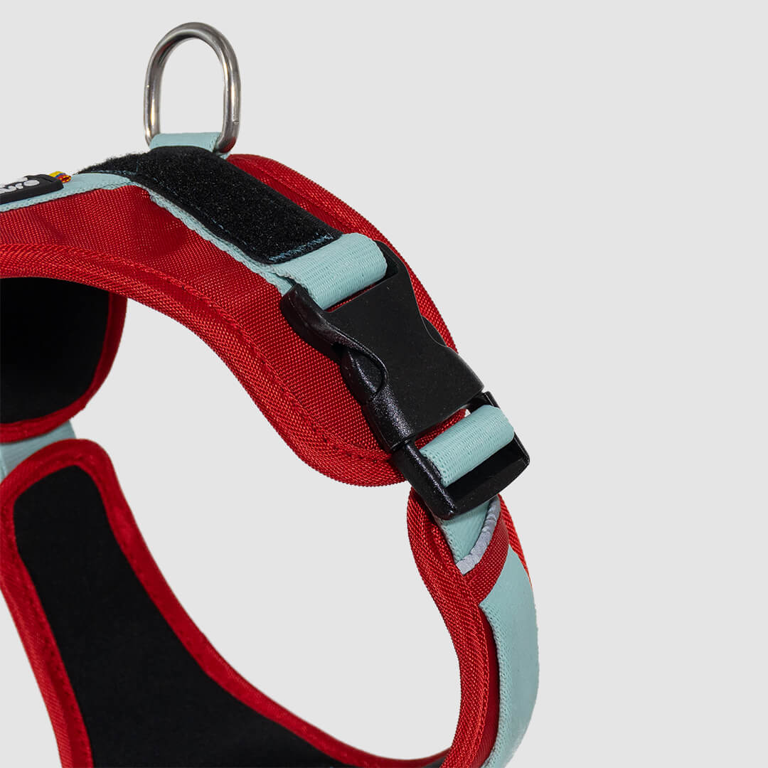 arnes-d-urban-rojo-menta3