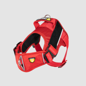 arnes-d-work-rojo