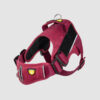 arnes-d-work-vino-tinto