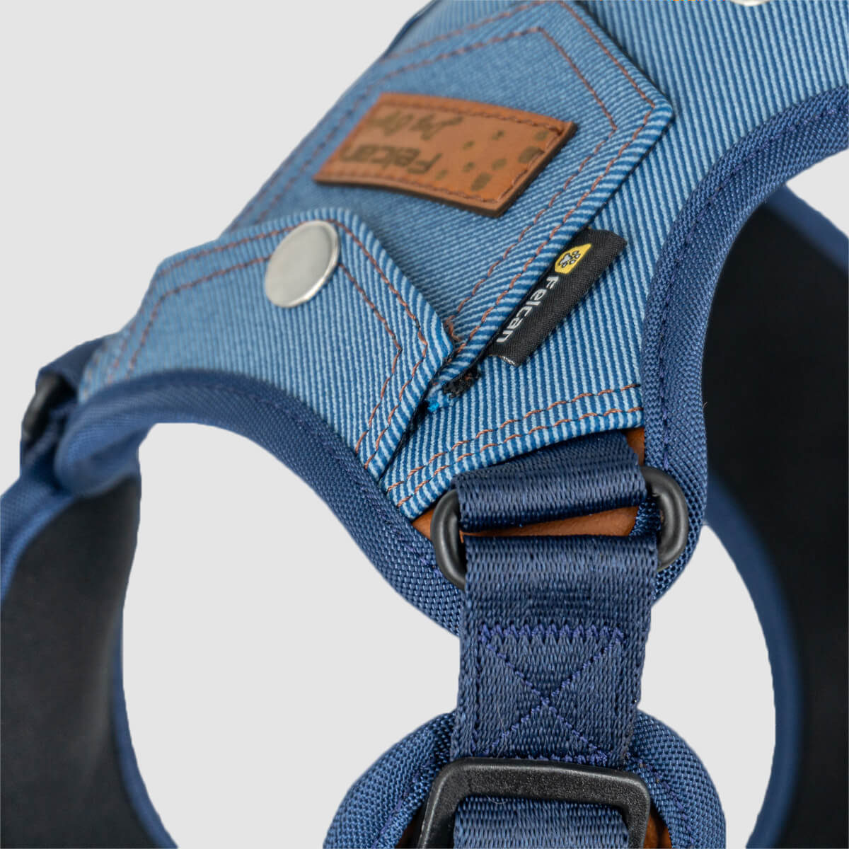 arnes-dog-style-azul-02