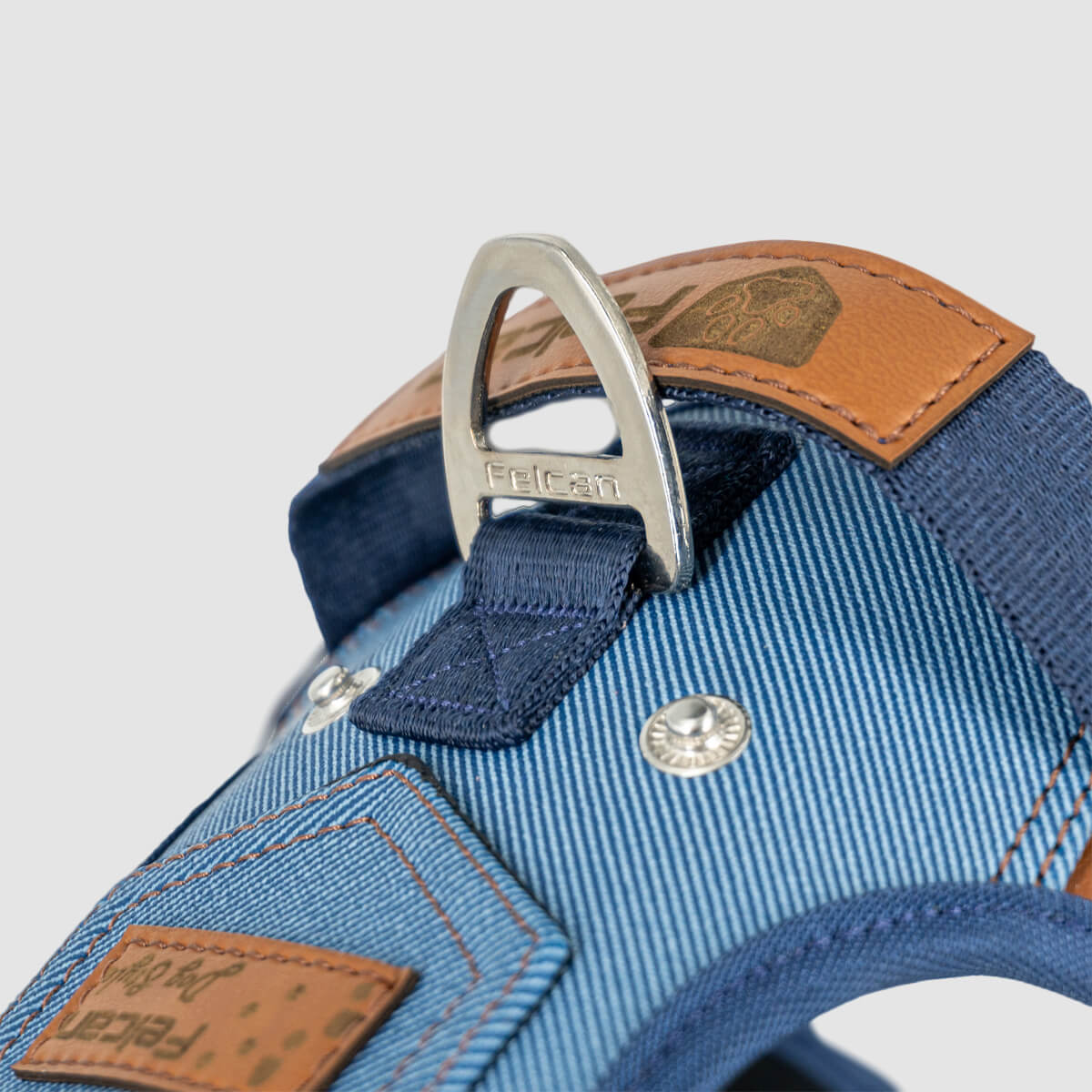 arnes-dog-style-azul-03