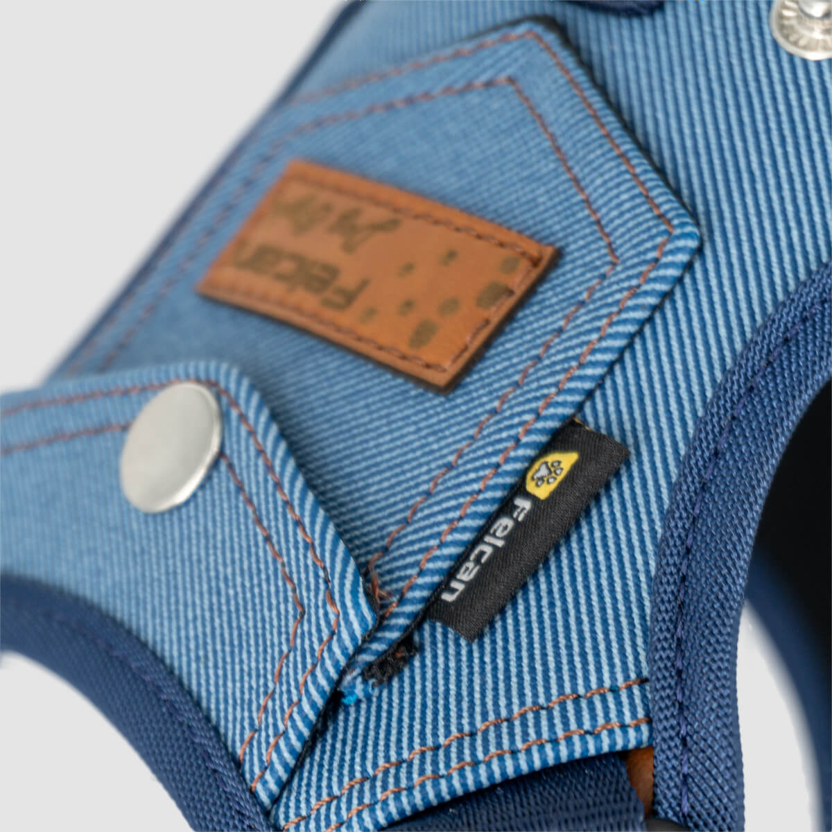 arnes-dog-style-azul-05