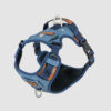 arnes-dog-style-azul-07