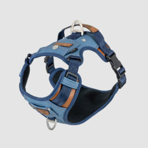 arnes-dog-style-azul-07