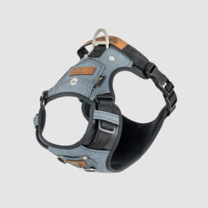 arnes-dog-style-negro-01