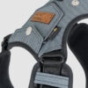 arnes-dog-style-negro-02