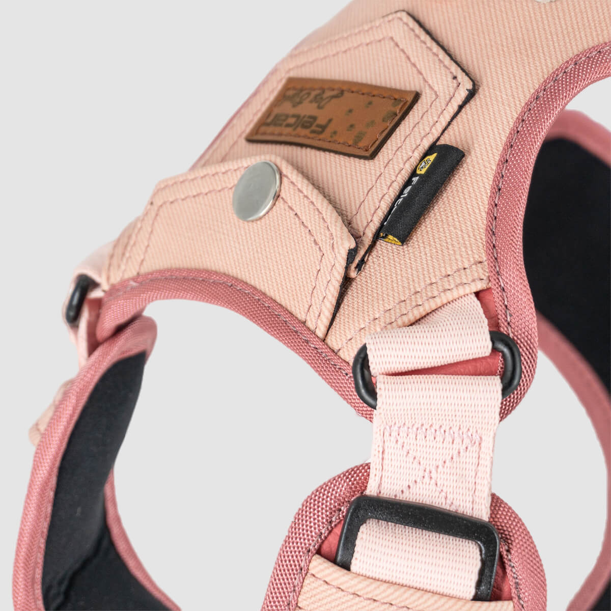 arnes-dog-style-rosa-02