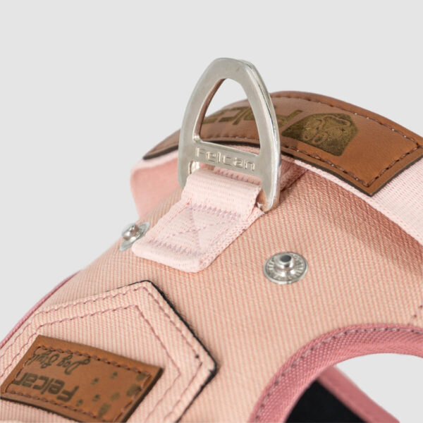 arnes-dog-style-rosa-03