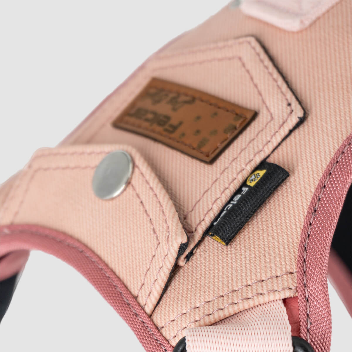 arnes-dog-style-rosa-04