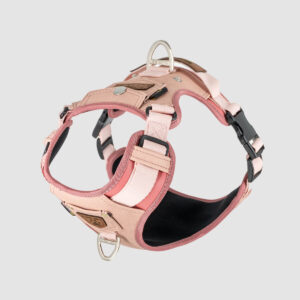 arnes-dog-style-rosa-06
