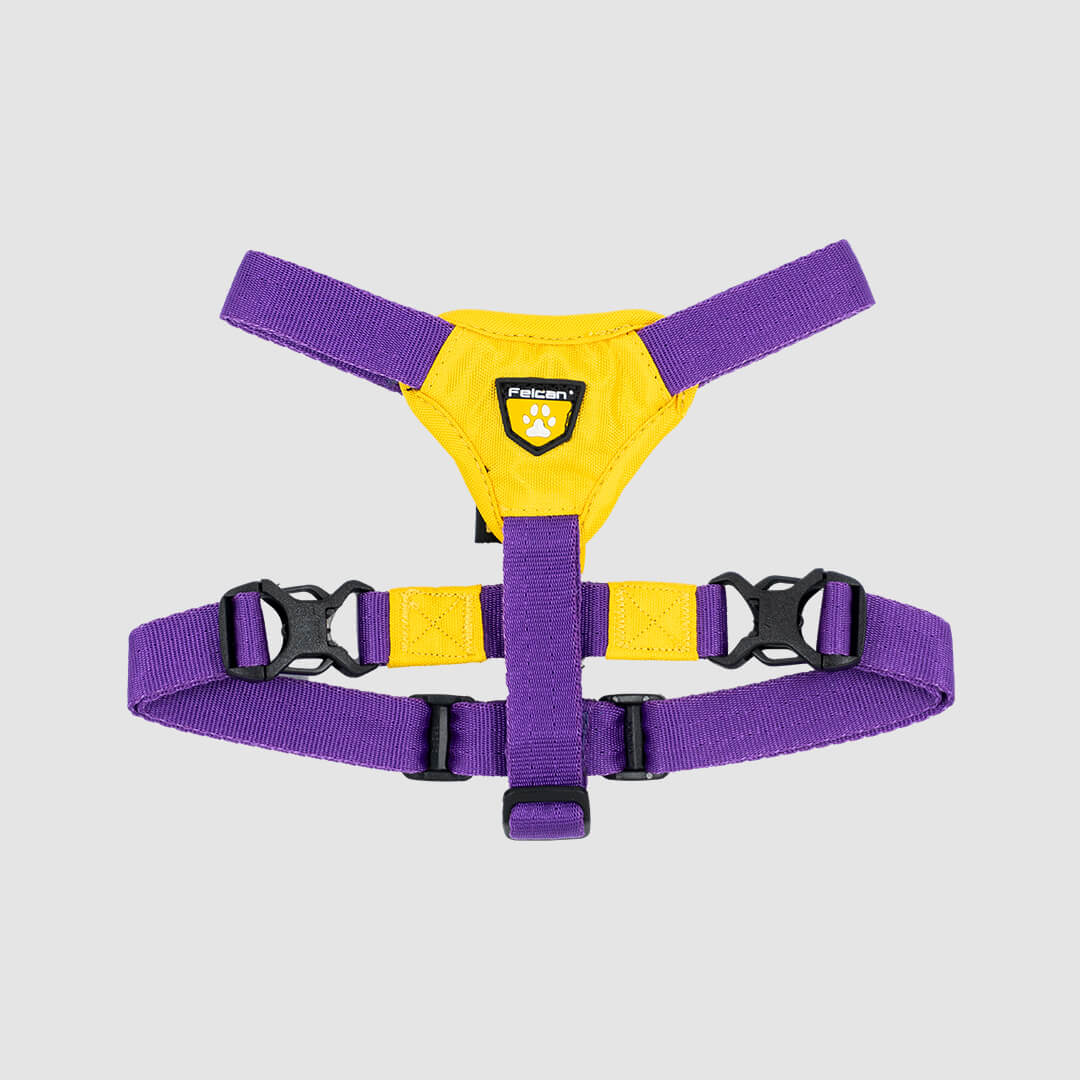 arnes-h-amarillo-morado-felcan-2
