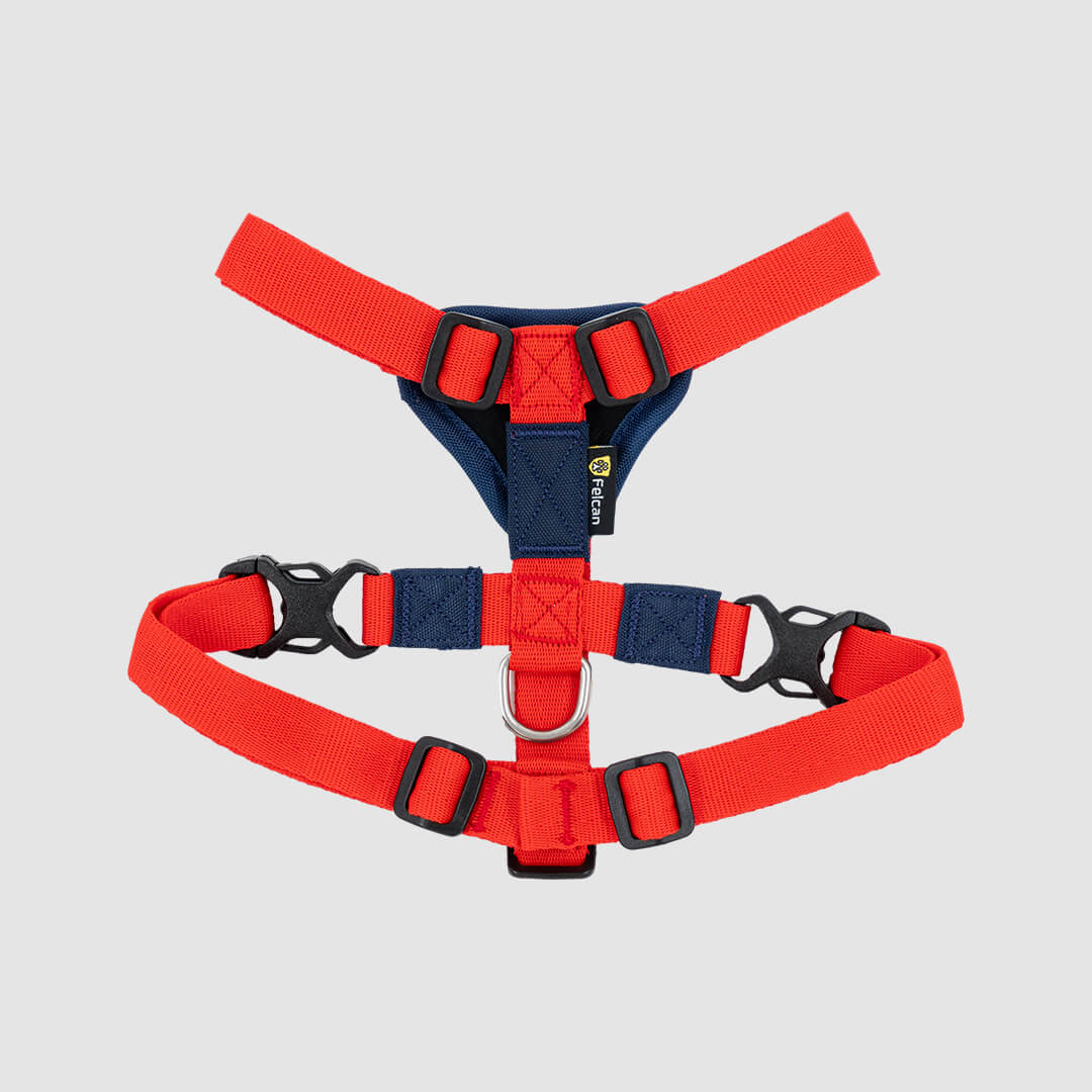 arnes-h-azul-rojo-felcan-2