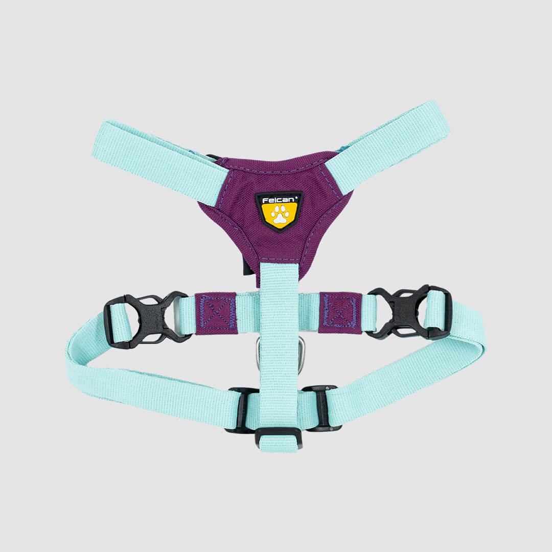 arnes-h-menta-morado-felcan-1